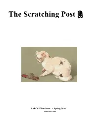 Newsletter Spring 2010.Pub