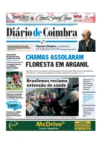 Chamas Assolaram Floresta Em Arganil