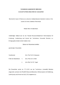 Doktorarbeit 120304Docx