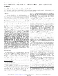 Inducibility of TAP1 and LMP2 in a Renal Cell Carcinoma Cell Line1