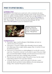 Phytophthora
