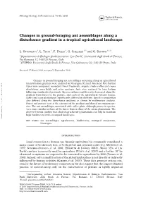 Changes in Ground-Foraging Ant Assemblages Along a Disturbance