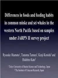 Differences in Foods and Feeding Habits in Common Minke and Sei Whales in the Western North Pacific Based on Samples Under JARPN II Survey Project