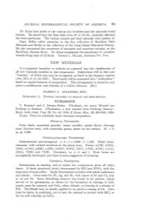 NEW MINERALS It Is Proposed Hereafter to Indicate In.A General Way the Classification of All New Minerals Recoided in This Department