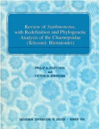Review of Stathmonotus, with Redefinition and Phylogenetic Analysis of the Chaenopsidae (Teleostei: Blennioidei)
