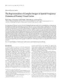 The Representation of Complex Images in Spatial Frequency Domains of Primary Visual Cortex