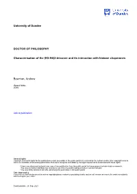 University of Dundee DOCTOR of PHILOSOPHY Characterisation of the (H3-H4)2-Tetramer and Its Interaction with Histone Chaperones