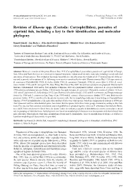 Cestoda: Caryophyllidea), Parasites of Cyprinid Fish, Including a Key to Their Identification and Molecular Phylogeny