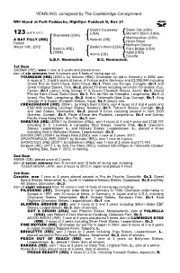 YEARLING, Consigned by the Castlebridge Consignment