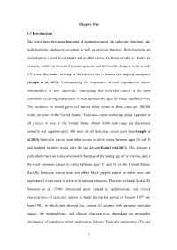 Chapter One 1.1 Introduction the Testes Have Two Main Functions Of