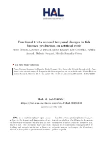 Functional Traits Unravel Temporal Changes in Fish Biomass Production