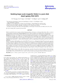 Seeking Large-Scale Magnetic Fields in a Pure