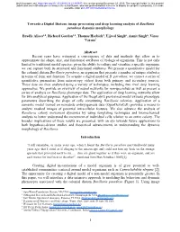 Towards a Digital Diatom: Image Processing and Deep Learning Analysis of Bacillaria Paradoxa Dynamic Morphology