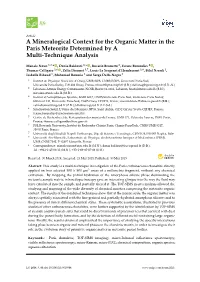 A Mineralogical Context for the Organic Matter in the Paris Meteorite Determined by a Multi-Technique Analysis