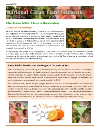 Citrus Feature Edition: a Focus on Huanglongbing Citrus Health