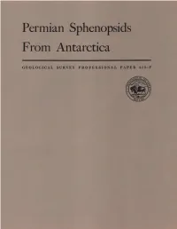 Permian Sphenopsids from Antarctica