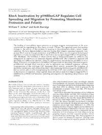 Rhoa Inactivation by P190rhogap Regulates Cell Spreading and Migration by Promoting Membrane Protrusion and Polarity William T