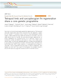 Tetrapod Limb and Sarcopterygian Fin Regeneration Share a Core Genetic