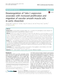 Downregulation of Talin-1 Expression Associates with Increased Proliferation and Migration of Vascular Smooth Muscle Cells in Ao