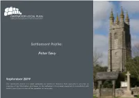 Peter Tavy Settlement Profile