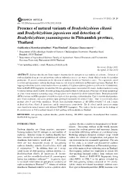 Presence of Natural Variants of Bradyrhizobium Elkanii And