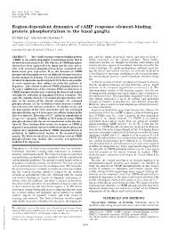 Region-Dependent Dynamics of Camp Response Element-Binding Protein Phosphorylation in the Basal Ganglia