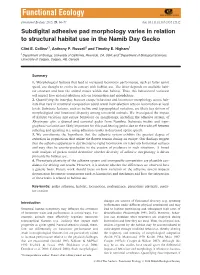 Subdigital Adhesive Pad Morphology Varies in Relation to Structural Habitat Use in the Namib Day Gecko