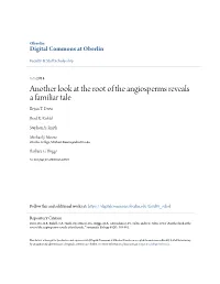 Another Look at the Root of the Angiosperms Reveals a Familiar Tale Bryan T