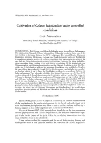 Calanus Helgolandicus Under Controlled Conditions