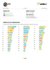 DNA-Test-Example-1.Pdf