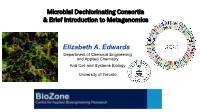 Microbial Dechlorinating Consortia & Brief Introduction to Metagenomics