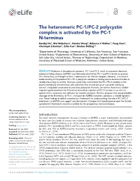 The Heteromeric PC-1/PC-2 Polycystin Complex Is Activated by the PC-1 N-Terminus