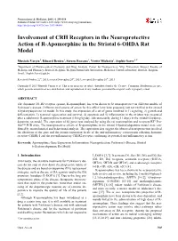Involvement of CRH Receptors in the Neuroprotective Action of R-Apomorphine in the Striatal 6-OHDA Rat Model