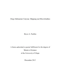 Otago Submarine Canyons: Mapping and Macrobenthos