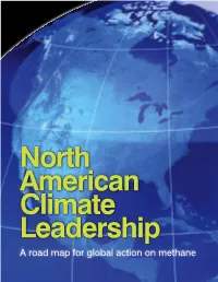 A Road Map for Global Action on Methane