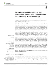Mutations and Modeling of the Chromatin Remodeler CHD8 Deﬁne an Emerging Autism Etiology