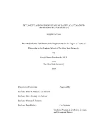 Phylogeny of Lasius (Acanthomyops