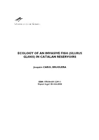 Silurus Glanis) in Catalan Reservoirs