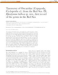 Taxonomy of Oncaeidae (Copepoda, Cyclopoida S.L.) from the Red Sea