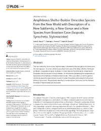 Amphibious Shelter-Builder Oniscidea Species from the New World With