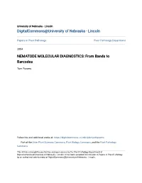 NEMATODE MOLECULAR DIAGNOSTICS: from Bands to Barcodes