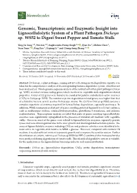 Genomic, Transcriptomic and Enzymatic Insight Into Lignocellulolytic System of a Plant Pathogen Dickeya Sp