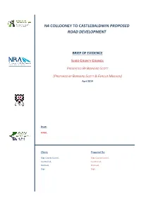 N4 Collooney to Castlebaldwin Proposed Road Development