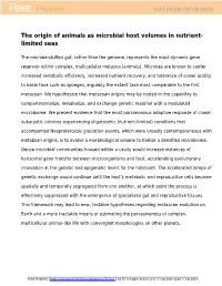 View Preprint