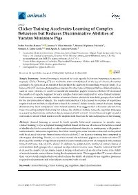 Clicker Training Accelerates Learning of Complex Behaviors but Reduces Discriminative Abilities of Yucatan Miniature Pigs