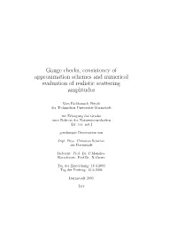 Gauge Checks, Consistency of Approximation Schemes and Numerical Evaluation of Realistic Scattering Amplitudes