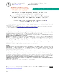 Structural Botany / Botánica Estructural