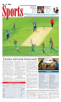 P20 Layout 1