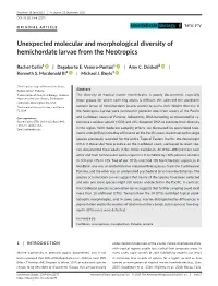 Unexpected Molecular and Morphological Diversity of Hemichordate Larvae from the Neotropics