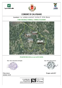 Comune Di Calvisano